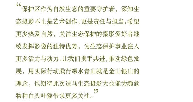 影赛启动2024适马（中国）首届生态摄影大会圆满举行生态摄影大赛正式开始报名！杏彩体育平台(图4)
