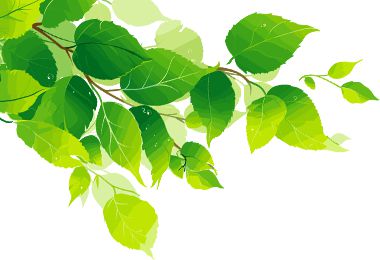 注意!永新开展河道违规开垦菜地专项清理行动!(图1)