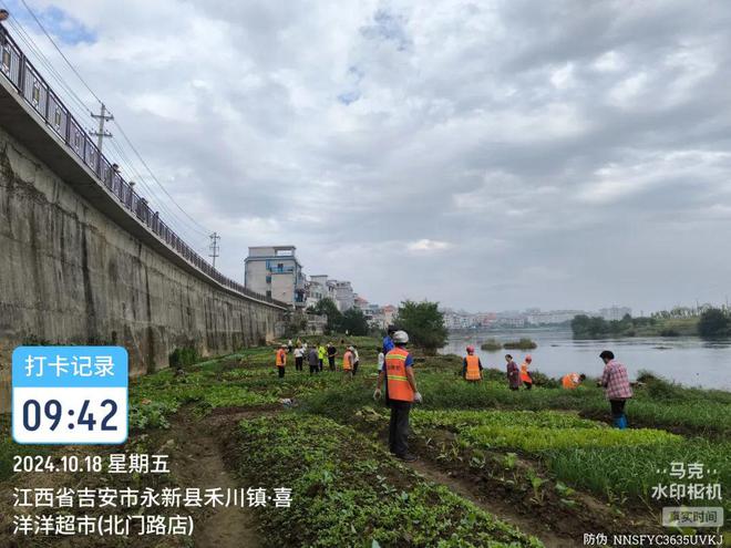 注意!永新开展河道违规开垦菜地专项清理行动!(图2)