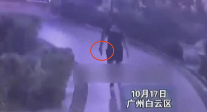 上海女子崩溃报警！小狗偷溜出门回家时浑身是伤竟被扎了7个血窟窿(图4)