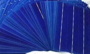 2024年生猪养殖行业市场发展现状及发展规划分析继续抓好生猪稳杏彩体育产保供工作(图4)