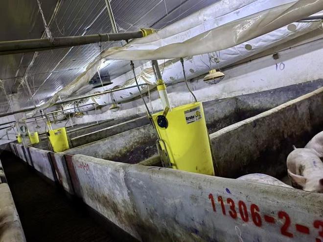 工行安龙支行:“生猪养殖e贷”为一企业解忧(图2)