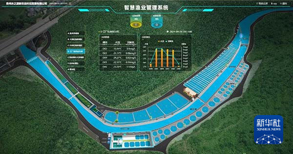 智慧养殖助力贵州鲟鱼出山(图1)