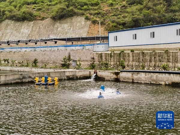 智慧养殖助力贵州鲟鱼出山(图2)