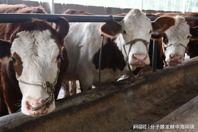 杏彩体育平台千万别错过！2024年家庭农场政策补贴农业项目在200万元以上！(图1)