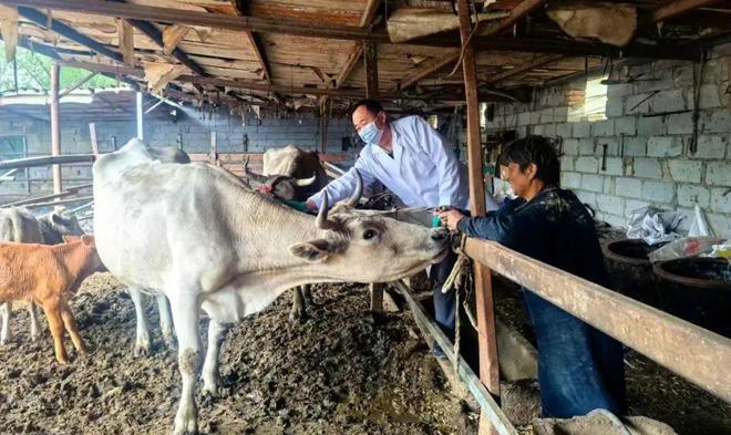 济南起步区:筑牢秋季动物防疫屏障守护公共卫生安全杏彩体育(图2)