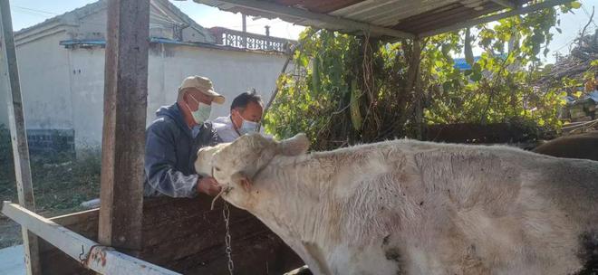 济南起步区:筑牢秋季动物防疫屏障守护公共卫生安全杏彩体育(图1)