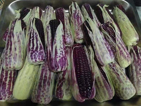 巴南姜家镇：11月9日举办美食节展特色产业发展新动态(图3)