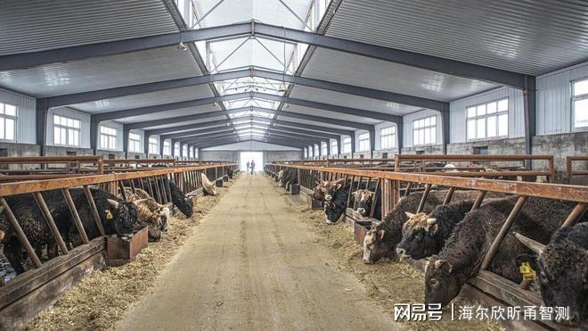 昕甬智测：晋中市养殖场NH₃监测的可靠保障(图1)