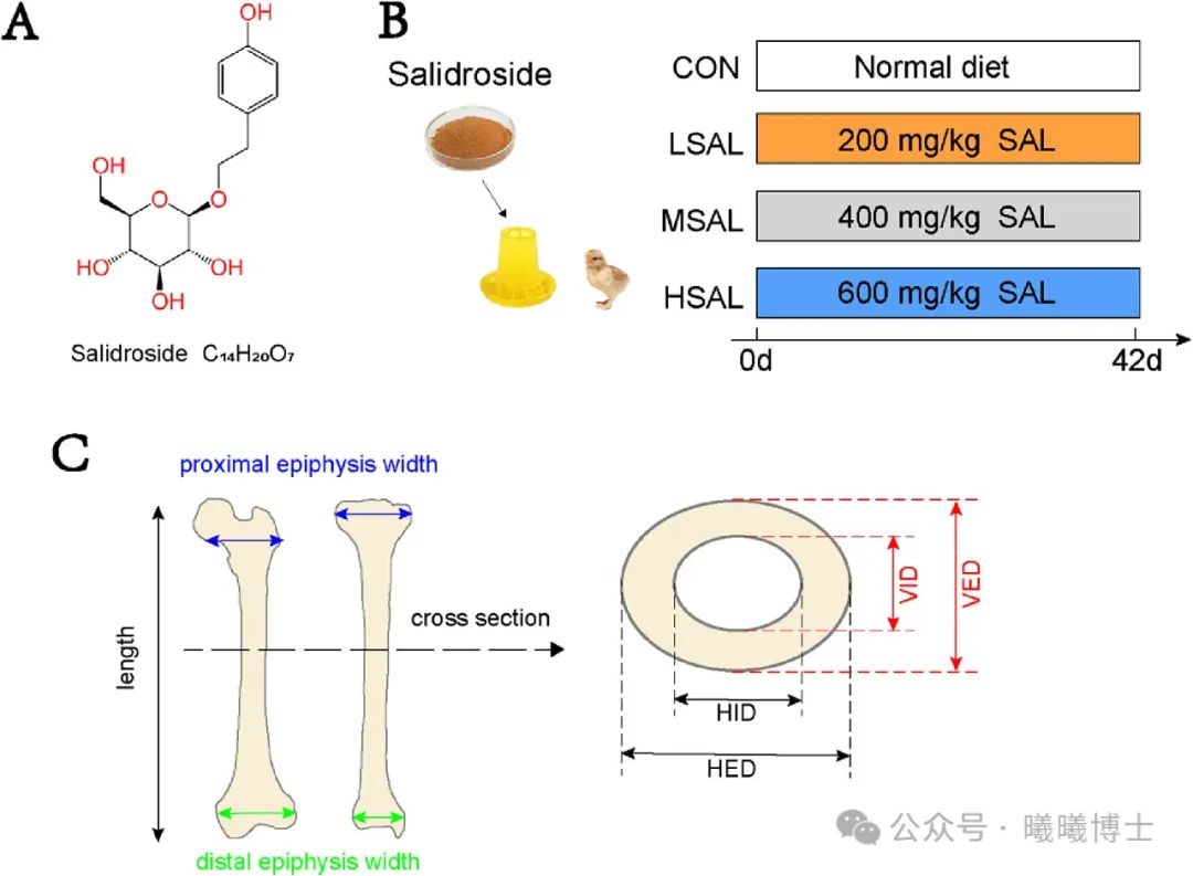 2024年9月营养快报——家禽篇杏彩体育（来自曦曦博士）(图1)