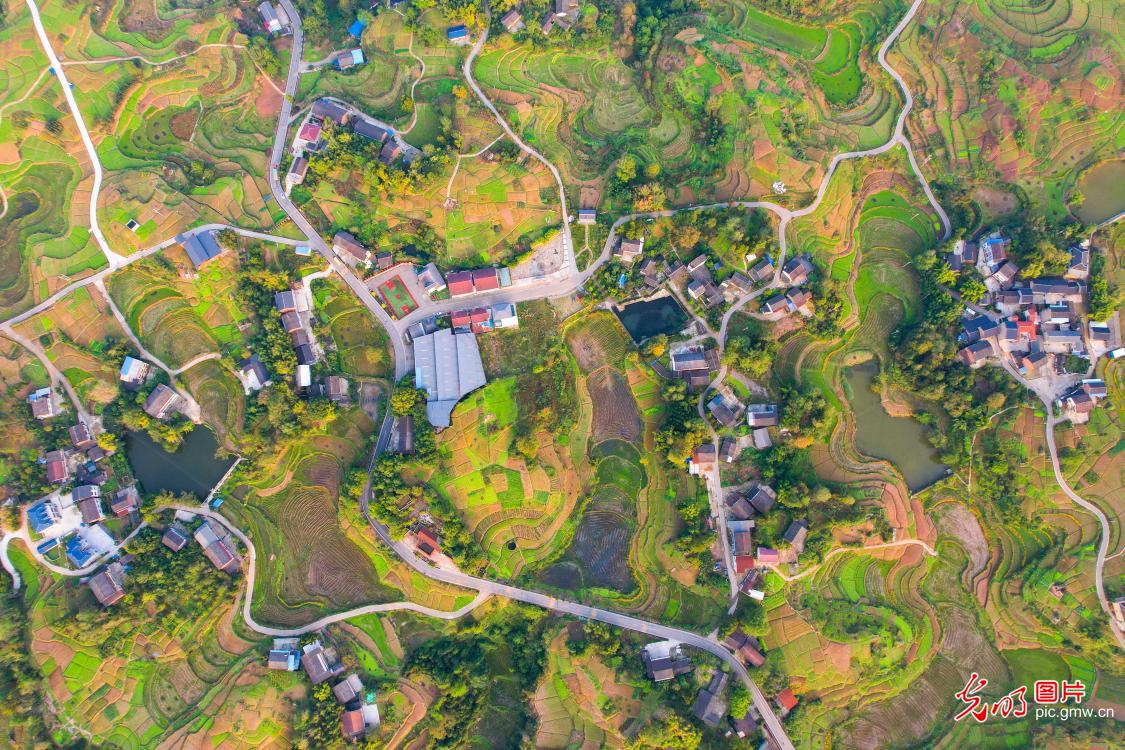 生态产业绘就乡村美景(图1)