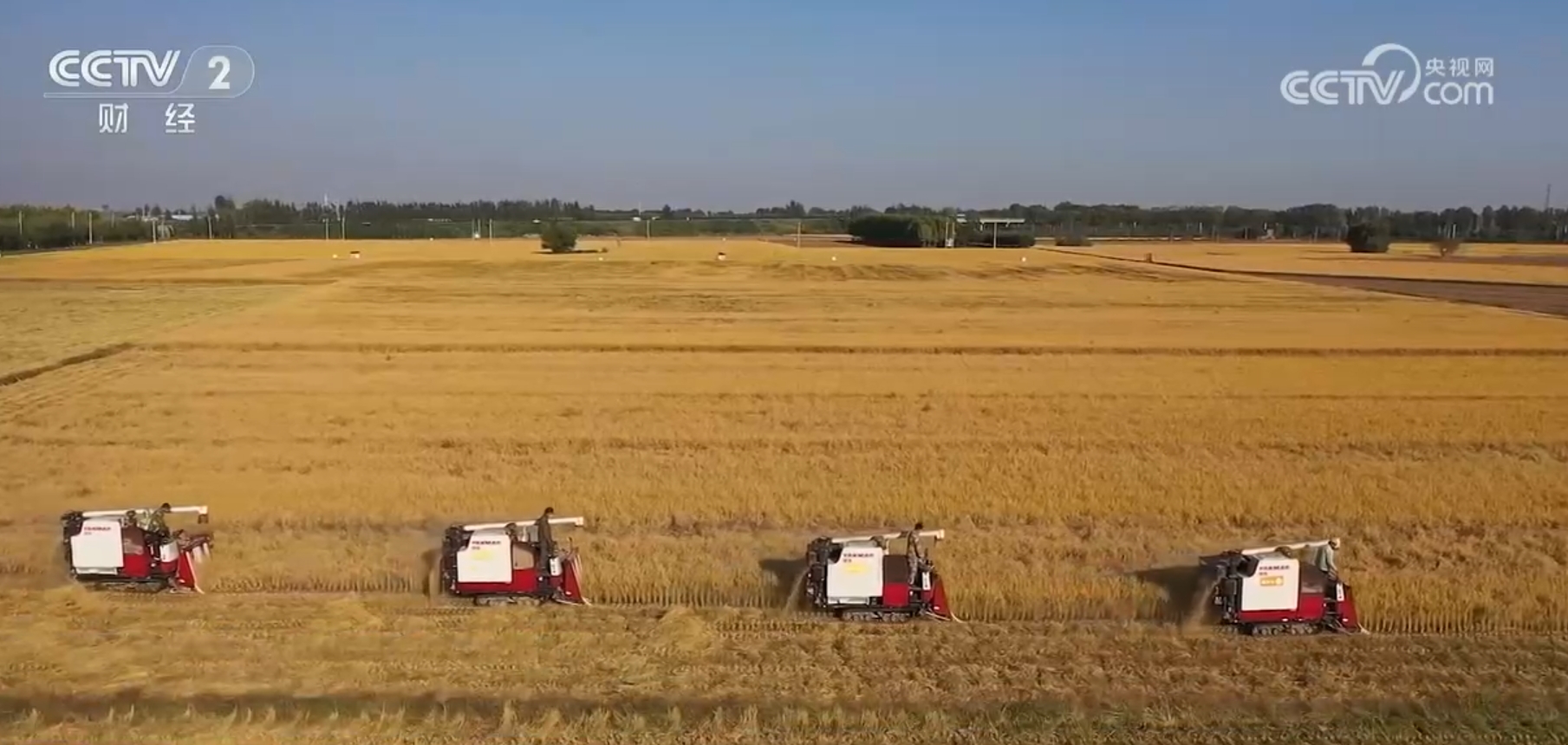 粮满仓、果飘香、生态种养收获忙田野好“丰”景展现蓬勃气象(图1)