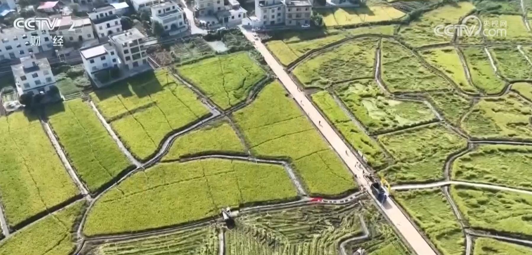 粮满仓、果飘香、生态种养收获忙田野好“丰”景展现蓬勃气象(图7)