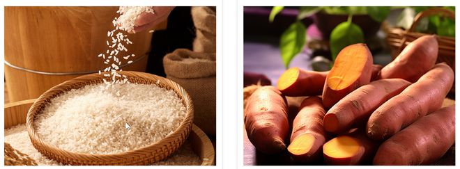 发现文盛庄园开启绿色之旅(图3)