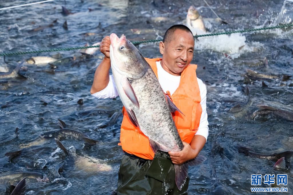 tex杏彩体育平台thtml(图3)