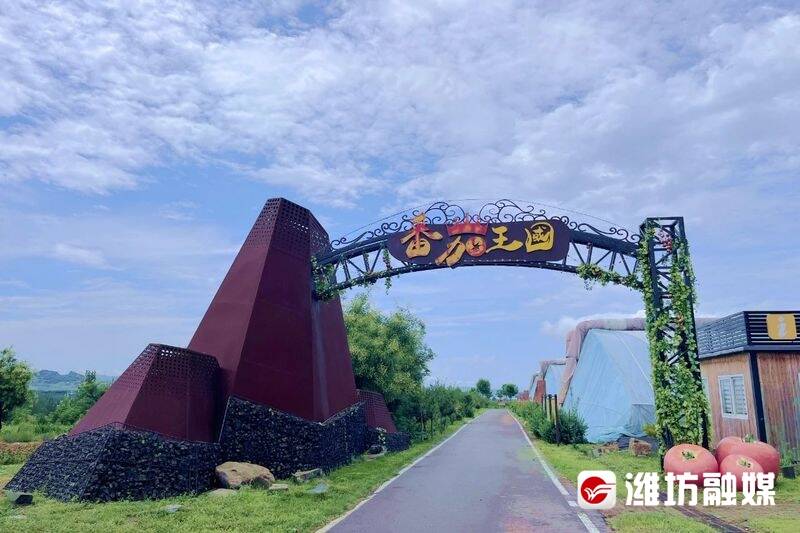 第二批省级生态农场潍坊这16家拟入选杏彩体育平台(图2)