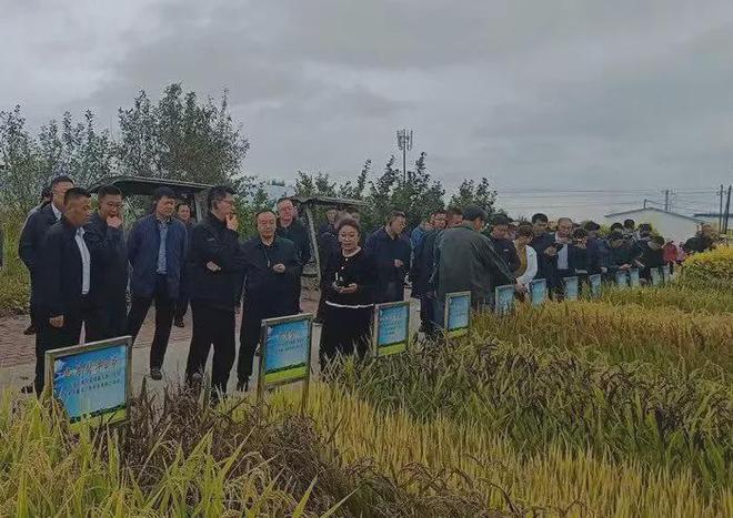 2024年全省稻渔综合种养经验交流及技术培训班在吉林市举办(图2)