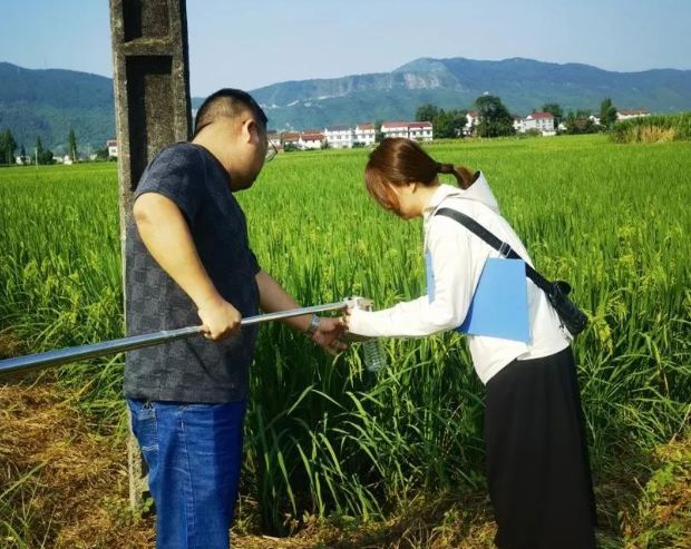 汉台分局持续做好2024年度稻渔综合种养水质监测工作(图1)