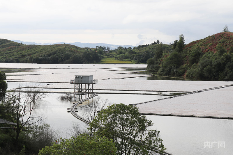 高质量发展看中国｜生态“好颜值”催生经济“高价值”(图1)