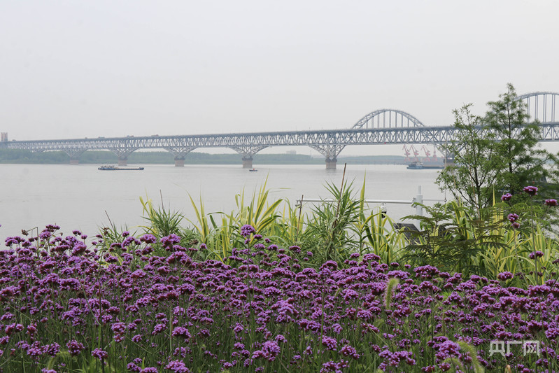 高质量发展看中国｜生态“好颜值”催生经济“高价值”(图2)