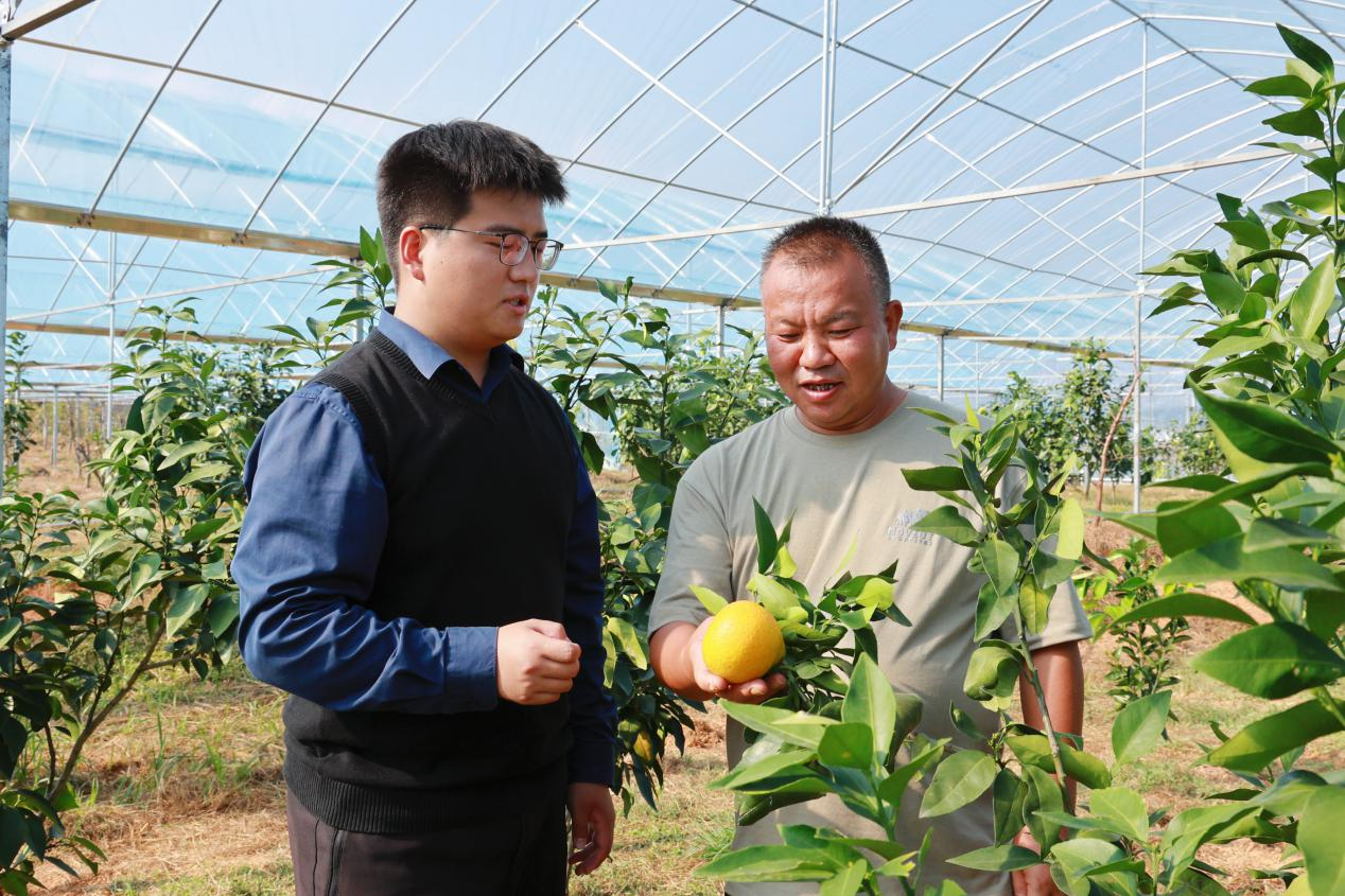 41个项目带动村民增收致富——商务部定点帮扶湖南城步苗族自治县纪实(图1)