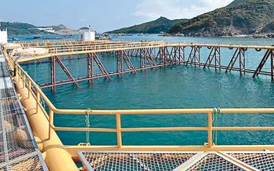 深海网箱养殖场水质监测(图1)