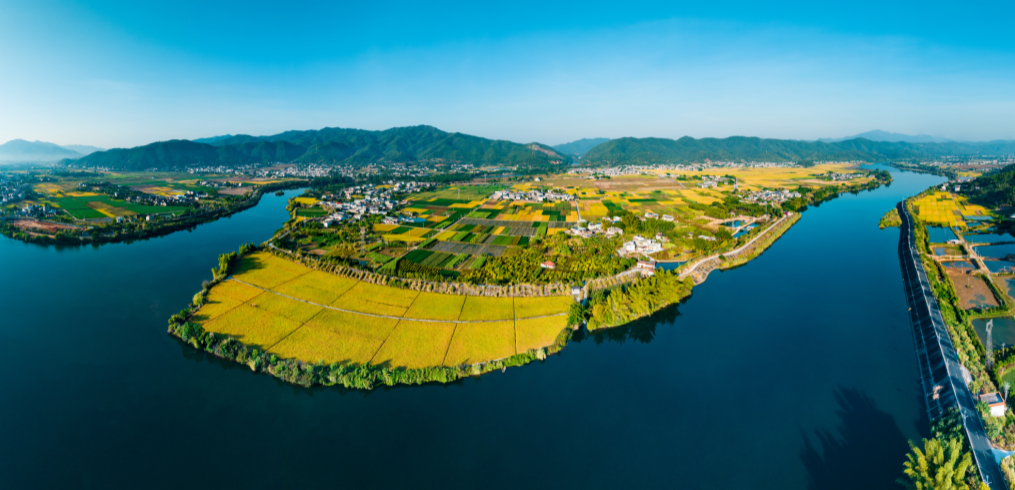 学习运用“厦门实践”经验广东深入推动生态保护修复工作杏彩体育平台(图2)