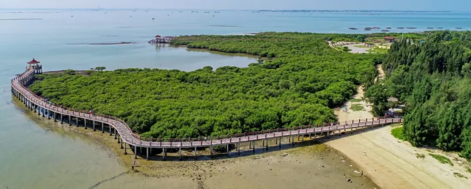 学习运用“厦门实践”经验广东深入推动生态保护修复工作杏彩体育平台(图1)