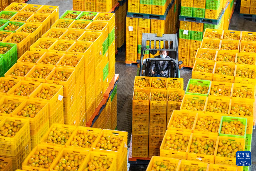 高质量发展调研行丨“土特产”助力三湘农业焕发新活力(图1)