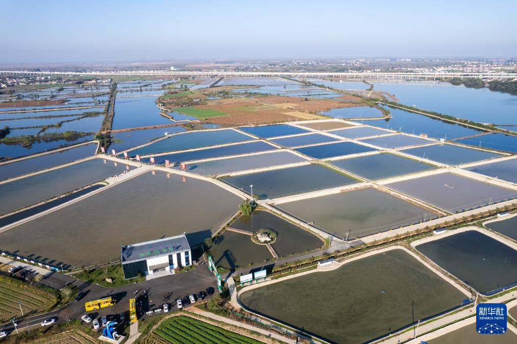 高质量发展调研行丨“土特产”助力三湘农业焕发新活力(图4)