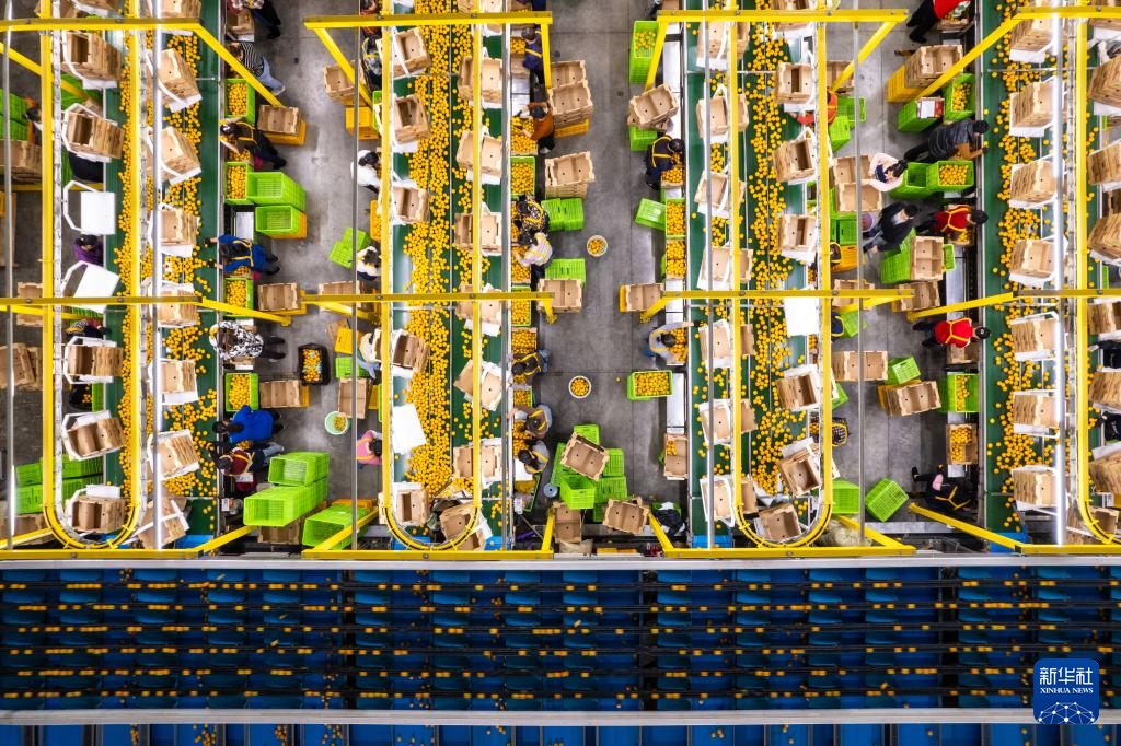 高质量发展调研行丨“土特产”助力三湘农业焕发新活力(图2)