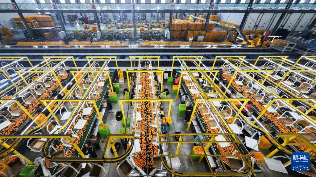 高质量发展调研行丨“土特产”助力三湘农业焕发新活力(图3)