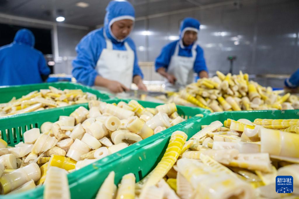 高质量发展调研行丨“土特产”助力三湘农业焕发新活力(图5)