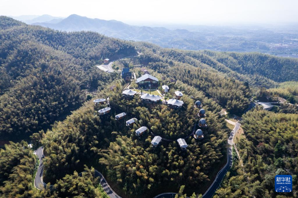 高质量发展调研行丨“土特产”助力三湘农业焕发新活力(图6)