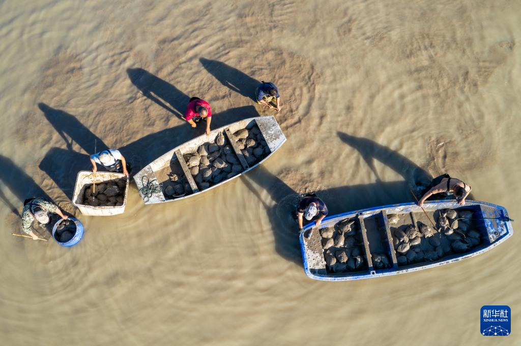 高质量发展调研行丨“土特产”助力三湘农业焕发新活力(图8)