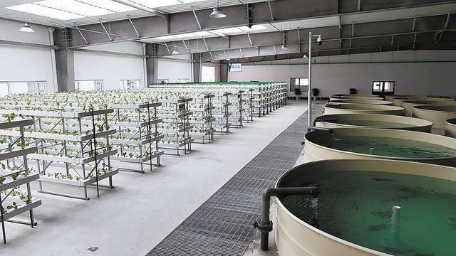 策马奋蹄砥砺行满弓劲发呈新景——2024年商州区重点项目建设综述(图2)