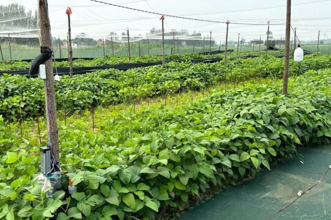 滨州+2!山东省中药材生态种植(养殖)园区培育单位名单公布(图1)