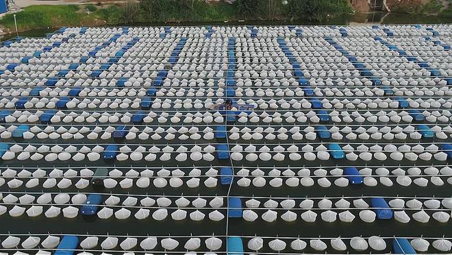 德州一园区入选！省中药材生态种植（养殖）园区培育杏彩体育平台单位公布(图1)