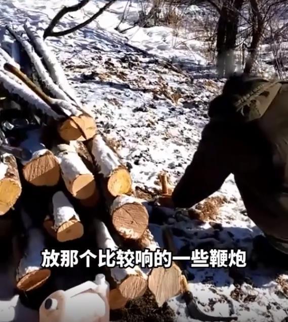 黑龙江发现一杏彩体育只东北虎3天2次进村偷袭牛村民无奈放鞭炮驱赶(图3)