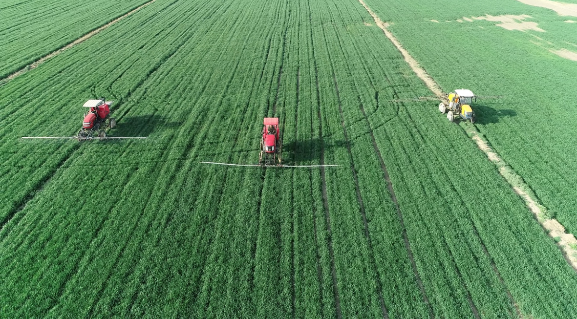 笃行为民服务初心深耕为农杏彩体育平台担当使命(图1)