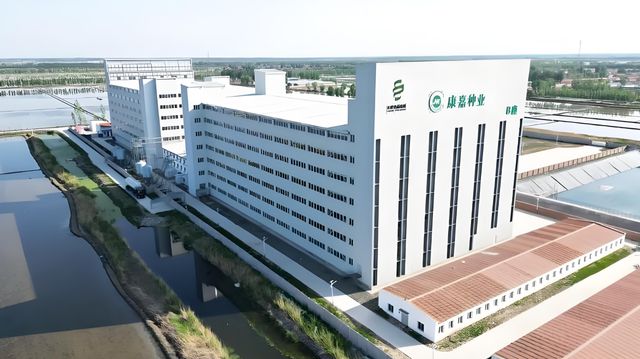 康嘉种业携手2024母猪产业大会优异基因赋能养猪增效降本!(图2)