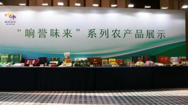 江苏响水在杭州举办现代农业投资说明会(图2)