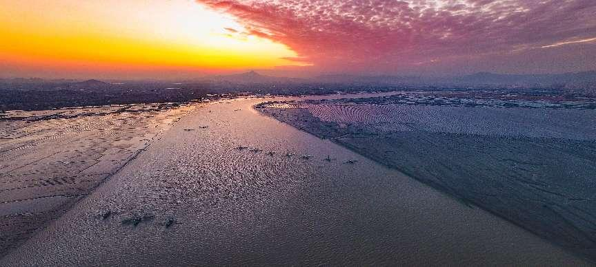 杏彩体育福建莆田筑牢木兰溪入海口生态屏障(图1)