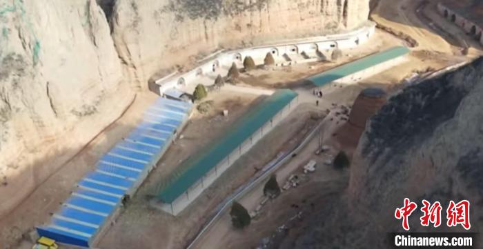 乡村行·看振兴)从山林到餐桌:山西柳林黑猪的生态养殖“秘籍”(图1)