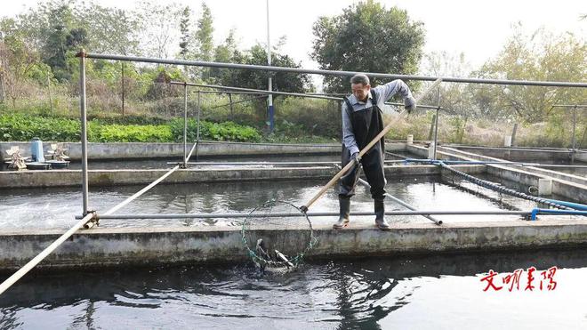 耒阳大义镇东方红村：生态养殖“鲟”出致富新路杏彩体育平台(图2)