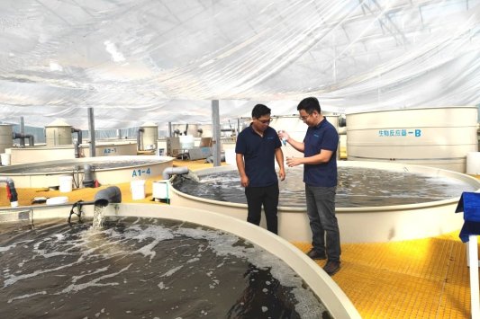 喜报！青岛大村鲜达水产科技发展有限公司入选2024年度青岛市水产绿色健康养殖技术推广“五大行动”骨干基地名单(图5)