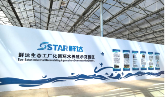 喜报！青岛大村鲜达水产科技发展有限公司入选2024年度青岛市水产绿色健康养殖技术推广“五大行动”骨干基地名单(图3)