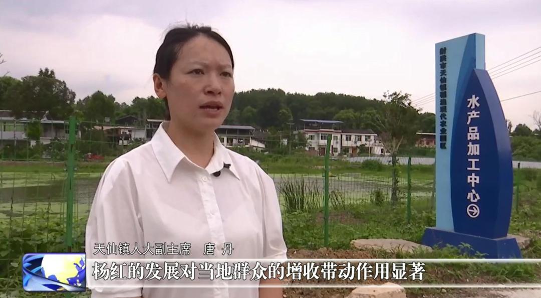 杏彩体育平台新农人杨红:以生态种养为笔绘就现代农业新画卷(图3)