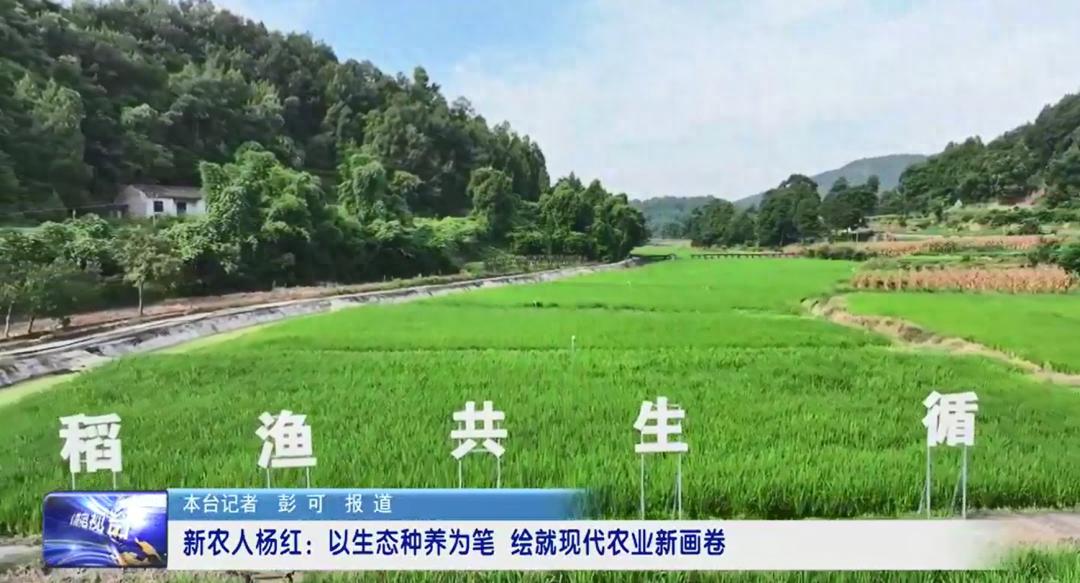 杏彩体育平台新农人杨红:以生态种养为笔绘就现代农业新画卷(图1)