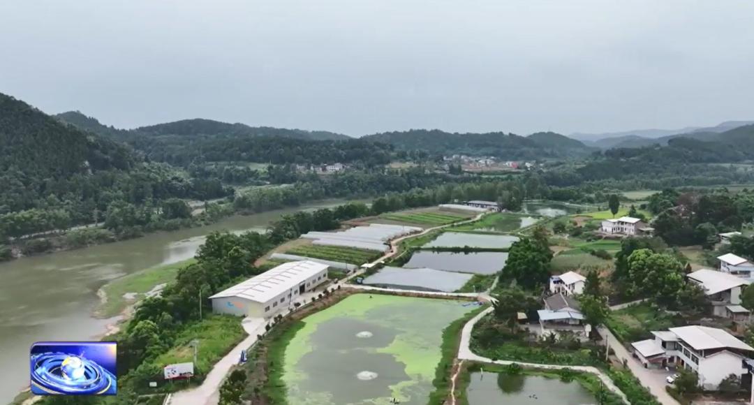 杏彩体育平台新农人杨红:以生态种养为笔绘就现代农业新画卷(图2)